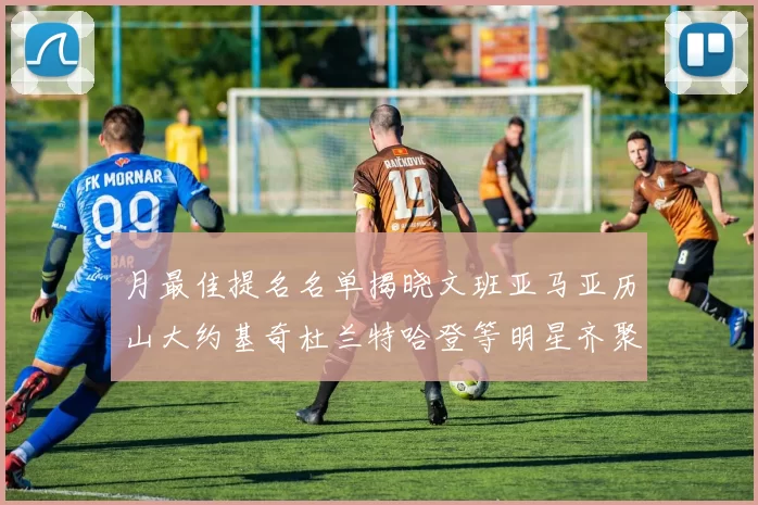 月最佳提名名单揭晓文班亚马亚历山大约基奇杜兰特哈登等明星齐聚争夺荣誉