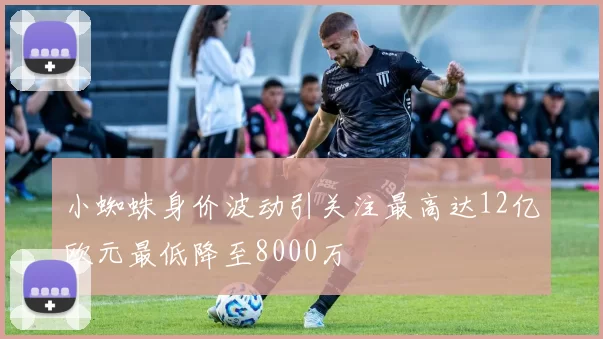小蜘蛛身价波动引关注最高达12亿欧元最低降至8000万